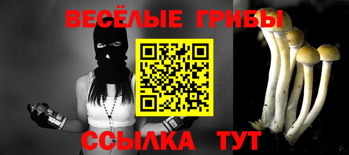Галлюциногенные грибы GOLDEN TEACHER  Галлюциногенные грибы MAGIC MUSHROOMS  продажа наркотиков  Вход с VPN  Заводоуковск 